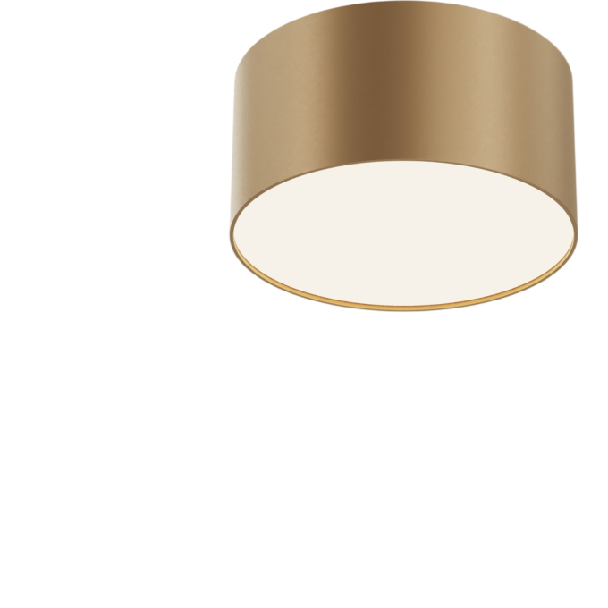 Потолочный светильник MAYTONI ZON C032CL-12W4K-RD-MG